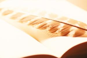 磁石特性のある広告チラシが可能