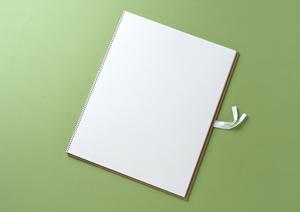 ガチャガチャの森：多彩なコレクションと体験型サービスを提供するお店ガイド