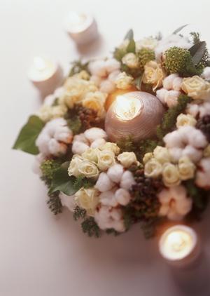 透明POPはオンラインで注文しよう